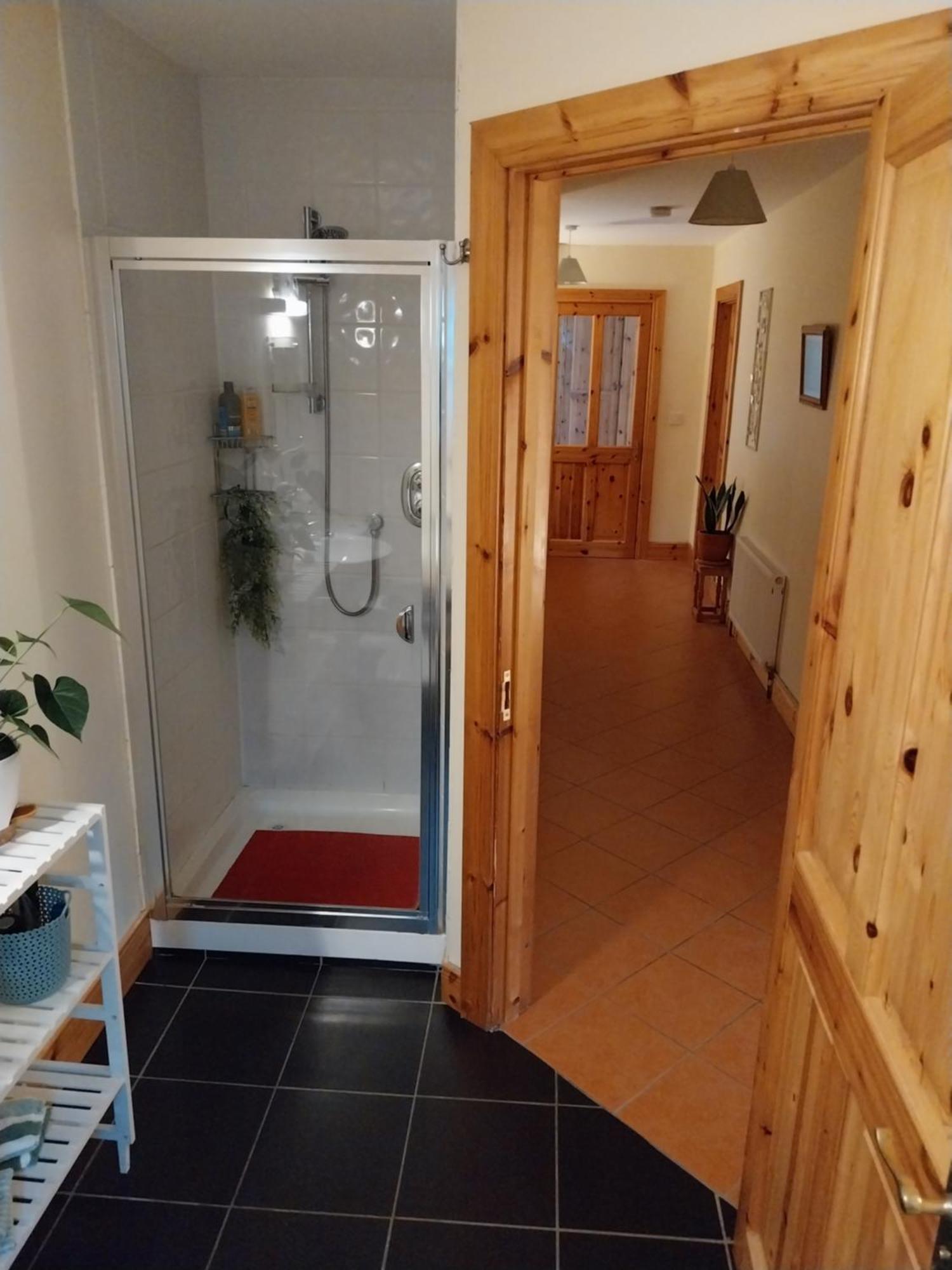 Felicity Cottage Kiltegan Екстер'єр фото