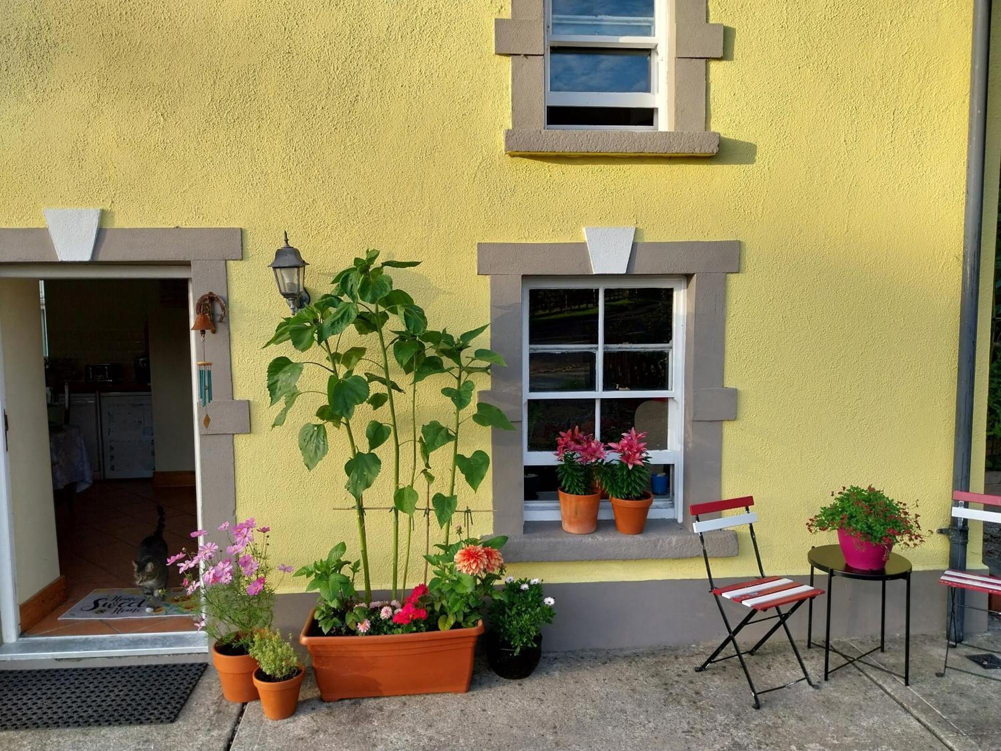 Felicity Cottage Kiltegan Екстер'єр фото